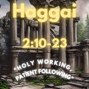 Haggai 2:10-23 “Holy working, Patient following”.