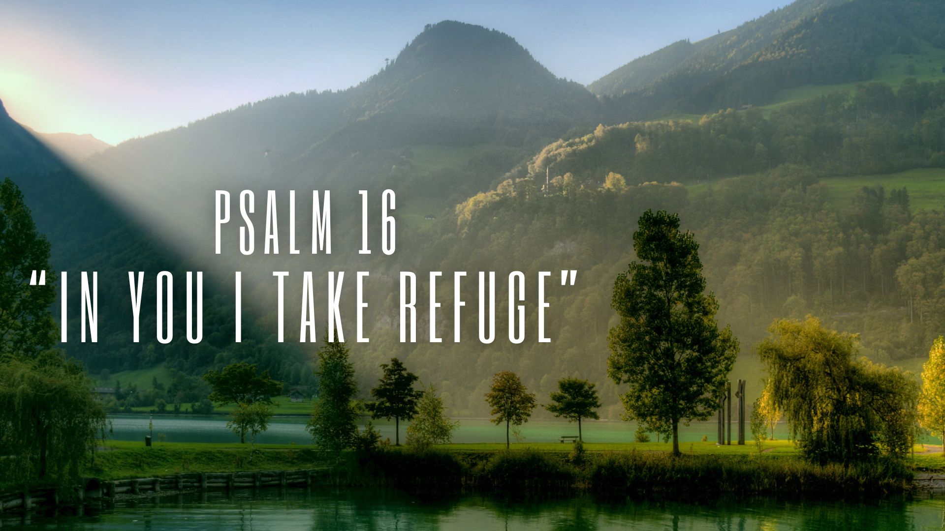 rev 6 15-16 what refuge did they refuse to take