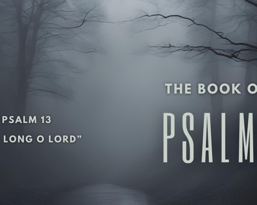 Psalm 13 “How Long O Lord”