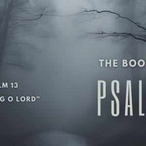 Psalm 13 “How Long O Lord”