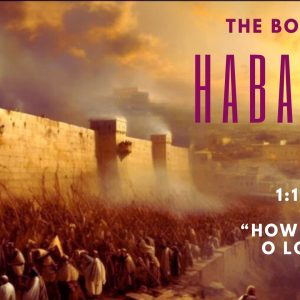 Habakkuk 1:1-11 “How long O Lord”